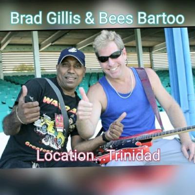 Brad Gillis & Bees